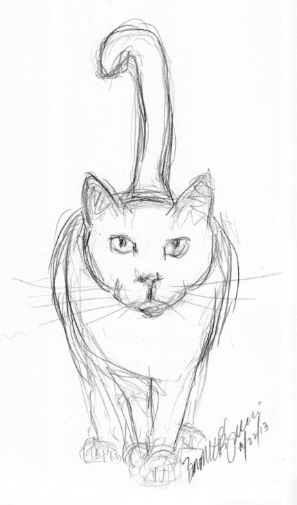 Fascinating Cat Pencil Drawing Tutorial Pencil Sketch Of Cat | Daily Cat Sketches In 2019 | Animal Sketches Pics