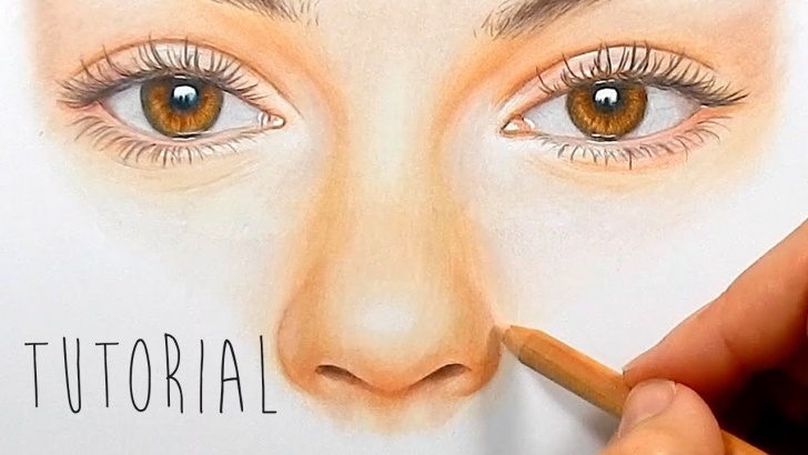 Fascinating Colored Pencil Drawings Step By Step Lessons Tutorial | How To Draw, Color A Realistic Nose With Colored Pencils - Step  By Step | Emmy Kalia Pics