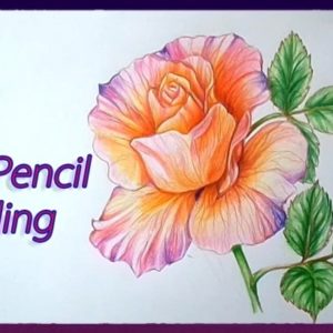 Colour Pencil Shading