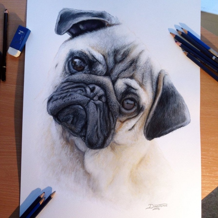 Fascinating Drawing Animals In Colored Pencil Lessons 25 Beautiful And Realistic Animal Drawings Around The World | Art Photos