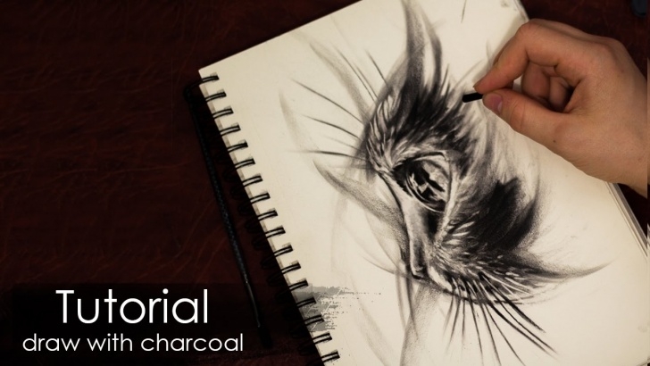 Fascinating Drawing Using Charcoal Pencil Tutorials Tutorial | How To Draw A Cat With Charcoal And Pencil - Sketch Style - Drawing Techniques Picture