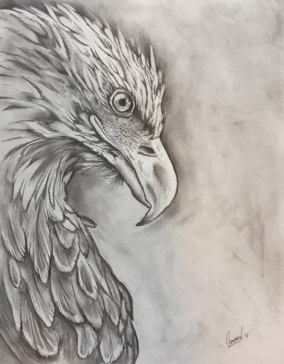Fascinating Eagle Pencil Art Courses Eagle Pencil Drawing - Album On Imgur Photo