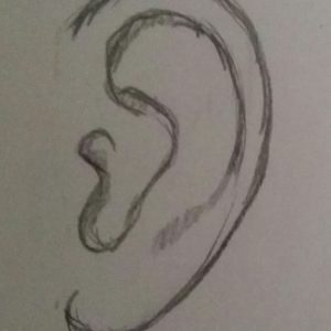 Ear Pencil Drawing