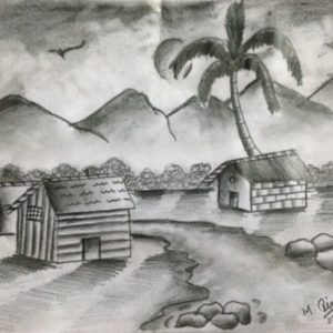 Nature Drawing Pencil Shading