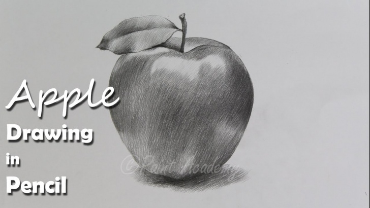 Fascinating Pencil Drawing Of Apple Techniques for Beginners How To Draw An Apple In Pencil | Step By Step How To Use Pencil Strokes Pictures