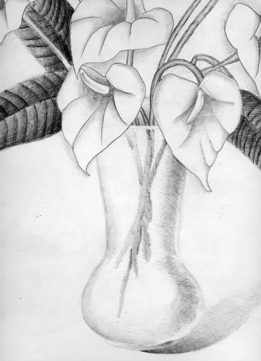 Fascinating Pencil Sketch Of Flowers Simple Pencil Sketch Images Flowers At Paintingvalley | Explore Pic