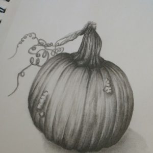 Pumpkin Pencil Drawing