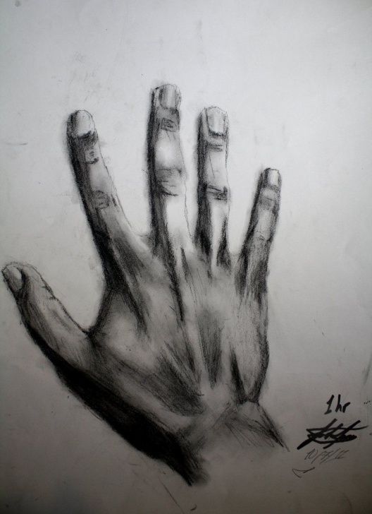 Fine Charcoal Art For Beginners Techniques Charcoal Art Drawings | Charcoal Drawing Of My Hand By Joshfjames Images