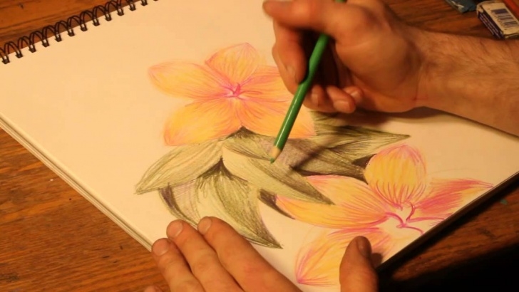Fine Flower Colour Pencil Drawing Easy How To Draw Flowers With Colored Pencils Picture