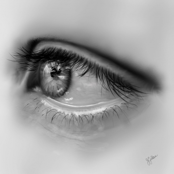 Fine Hb Pencil Art Simple Hb Pencil Sketch - My Digital Art Using Procreate On Ipad Pic