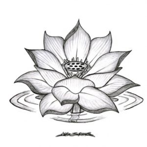 Lotus Flower Pencil Drawing