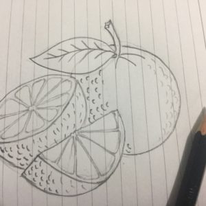 Orange Pencil Drawing