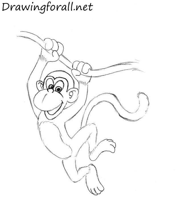 Fine Pencil Sketch Of Monkey Techniques for Beginners Pencil Sketch Of Monkey At Paintingvalley | Explore Collection Photo