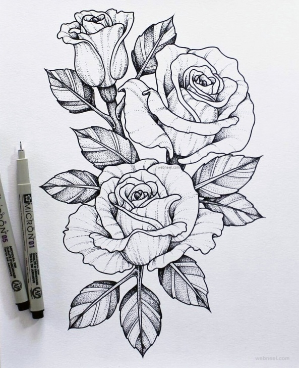 Fine Rose Flower Pencil Drawing Free 45 Beautiful Flower Drawings And Realistic Color Pencil Drawings Images