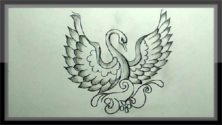 Fine Swan Pencil Drawing Tutorial Cool Pencil Drawing A Beautiful Swan Step By Step Easy Pic