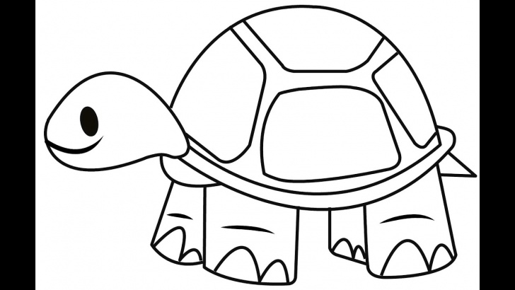 Fine Tortoise Pencil Sketch Ideas How To Draw A Tortoise - Easy And Simple Steps Photos