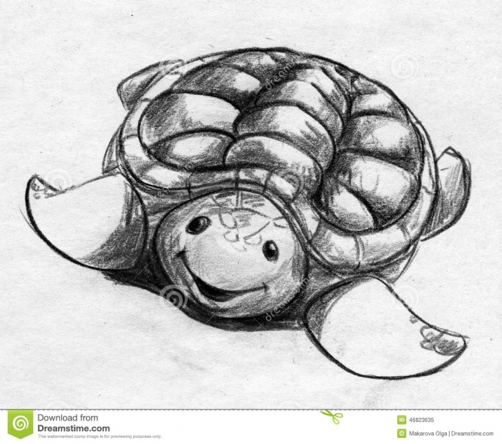 Fine Tortoise Pencil Sketch Techniques for Beginners Cartoonish Tortoise Sketch Stock Illustration. Illustration Of Pic