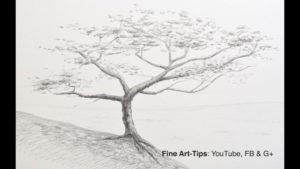 Fine Tree Pencil Drawing Ideas How To Draw A Tree With Pencil Picture