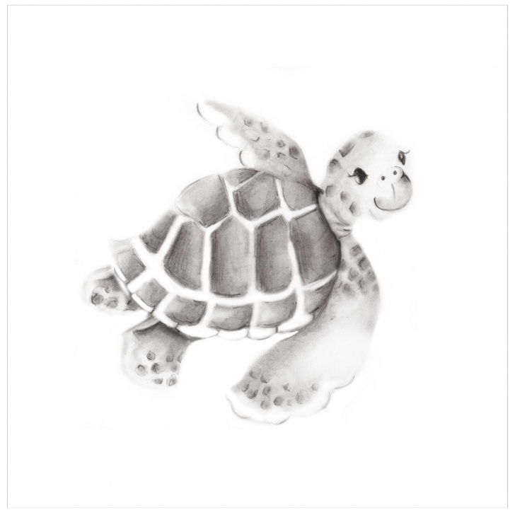 Fine Turtle Pencil Drawing Step by Step Sea Turtle Pencil Drawing Print In 2019 | Drawings In Pencil Photos