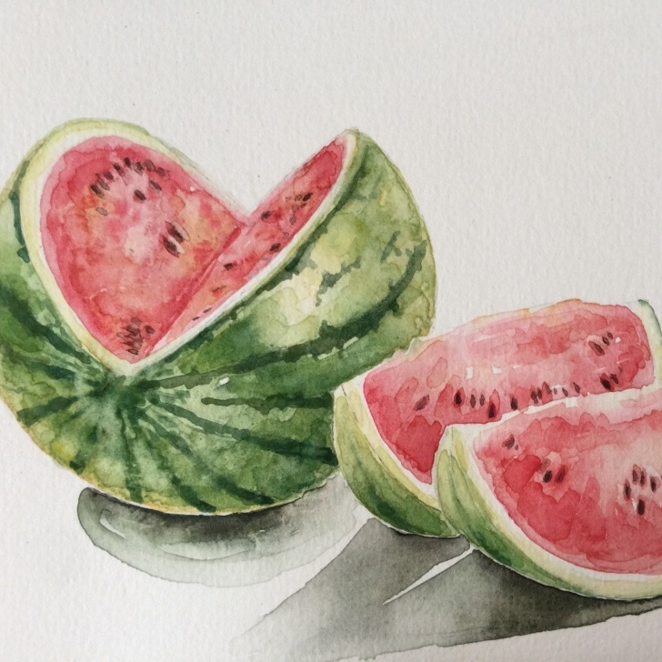 Fine Watermelon Pencil Drawing Step by Step Colored Pencil Grapes Drawing Original Art Still Life | Still Life Pics