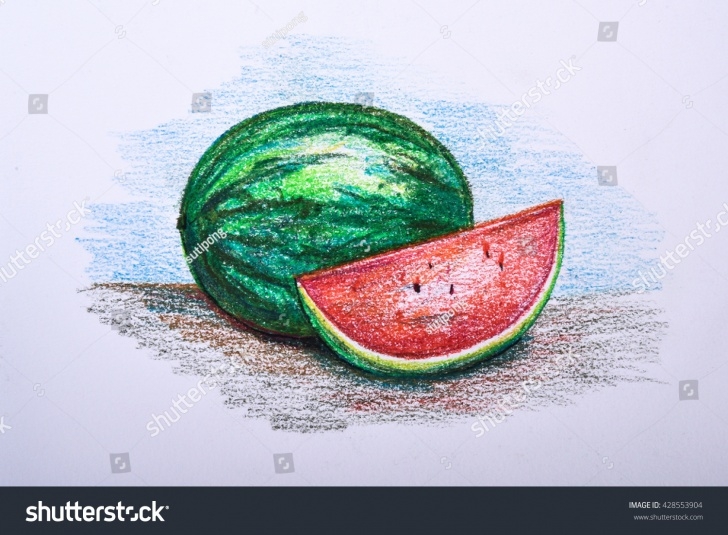 Fine Watermelon Pencil Drawing Techniques Drawing Fruit Colour Pencil Watermelon Stock Illustration 428553904 Picture
