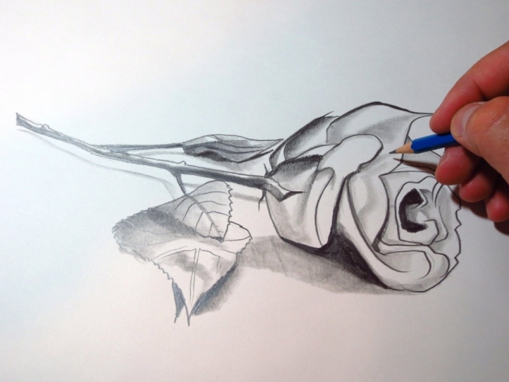 Good 3D Rose Pensil Sketch Step By Step Techniques 3D Flower Drawing At Paintingvalley | Explore Collection Of 3D Pictures