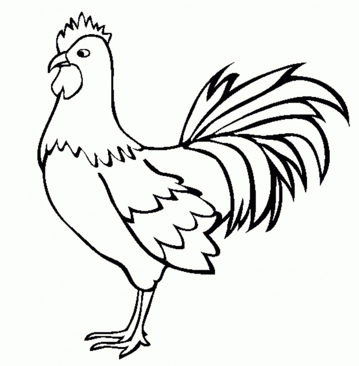 Good Chicken Pencil Drawing for Beginners Hen Drawing Images At Paintingvalley | Explore Collection Of Hen Pictures