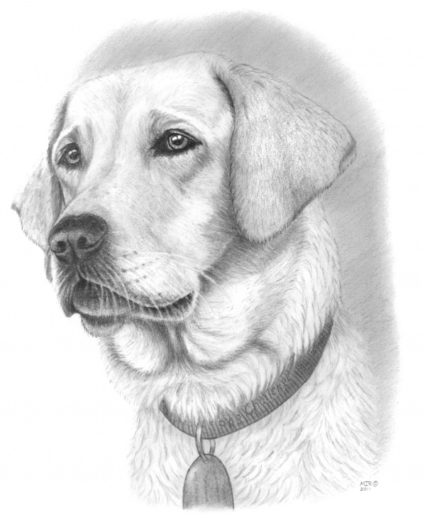 Good Dog Pencil Art Techniques Dog Pencil Drawing | - Clip Art Library Pics