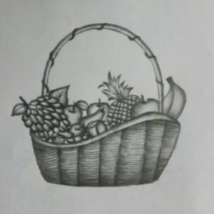 Fruit Basket Pencil Drawing