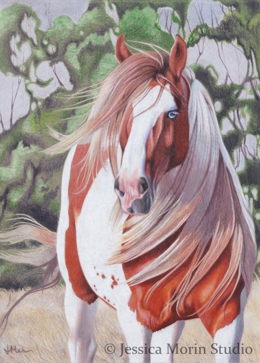 Good Horse Drawing Colored Pencil for Beginners Jessica Morin Colored Pencil Horse Drawing. Paint Horse With Blue Picture