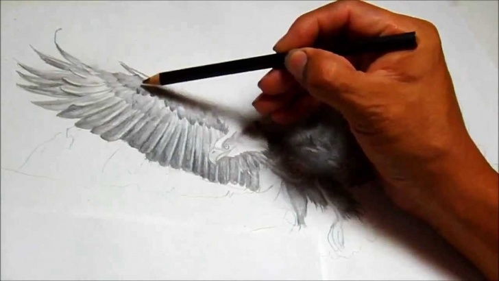 Good Pencil Drawings Of Eagles In Flight Simple Ruben's Art How To Draw An Eagle Flying Images