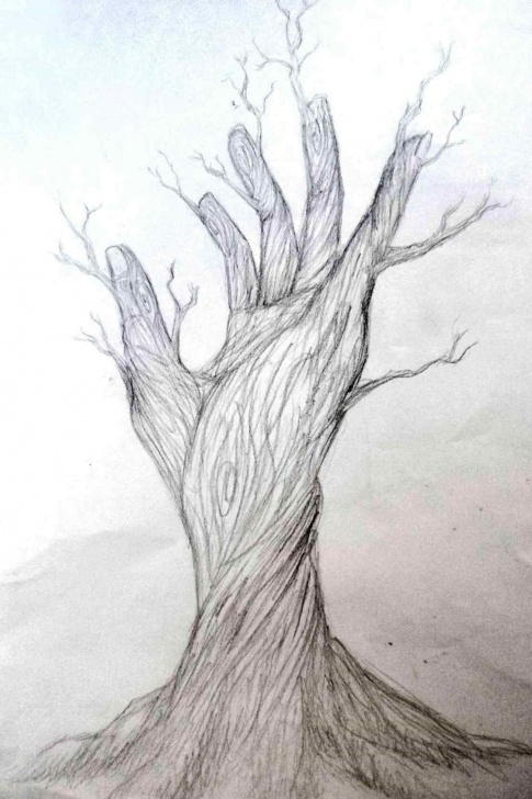Gorgeous Easy Sketches Of Nature Techniques for Beginners Beautiful Easy Nature Drawings Images