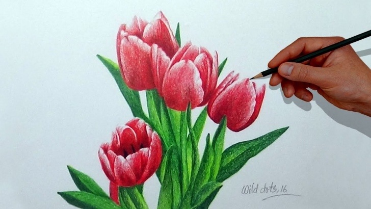 Gorgeous Flower Colour Pencil Drawing Techniques How To Draw A Flower With Simple Colored Pencils - Tulip | Picture