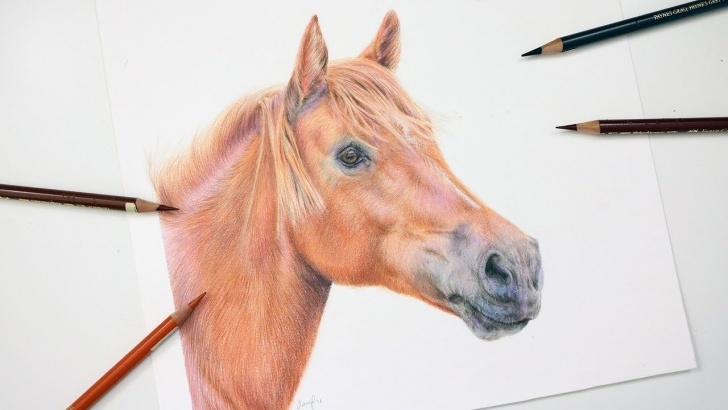 Gorgeous Horse Drawing Colored Pencil Tutorials How To Draw A Horse With Colored Pencil | Drawing Tutorial Photo