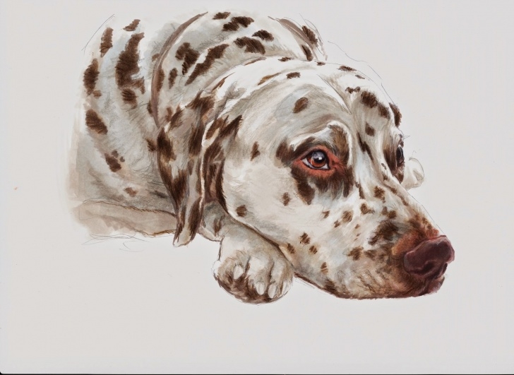 Gorgeous Marker And Colored Pencil Drawing Tutorials Markers Guild: Comparing Markers And Color Pencils Images