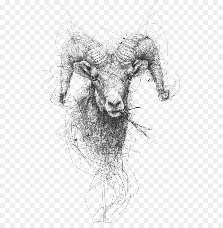 Gorgeous Sheep Pencil Drawing Lessons Cartoon Sheep Png Download - 564*901 - Free Transparent Drawing Png Pics