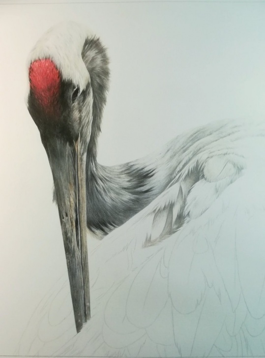 Incredible Alan Woollett Art Techniques for Beginners Alan Woollett (@awoollett) | Twitter Picture