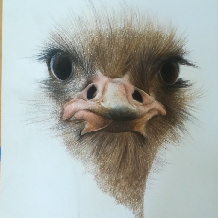 Incredible Alan Woollett Art Tutorial Alan Woollett (@awoollett) | Twitter Pic