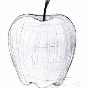 Apple Pencil Sketch