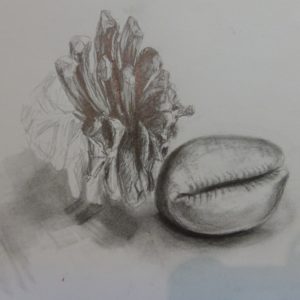 Best Pencil Sketches To Draw