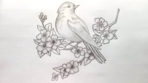Incredible Birds Pencil Drawing Lessons How To Draw A Bird With Pencil Sketch.step By Step(Easy Draw) Images