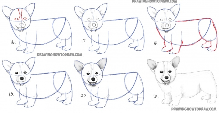 Incredible Dog Drawings In Pencil Step By Step for Beginners How To Draw A Corgi Puppy Easy Step By Step Realistic Drawing Picture