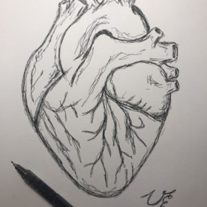 Human Heart Pencil Drawing