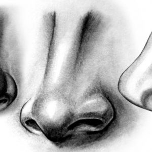 Nose Pencil Sketch