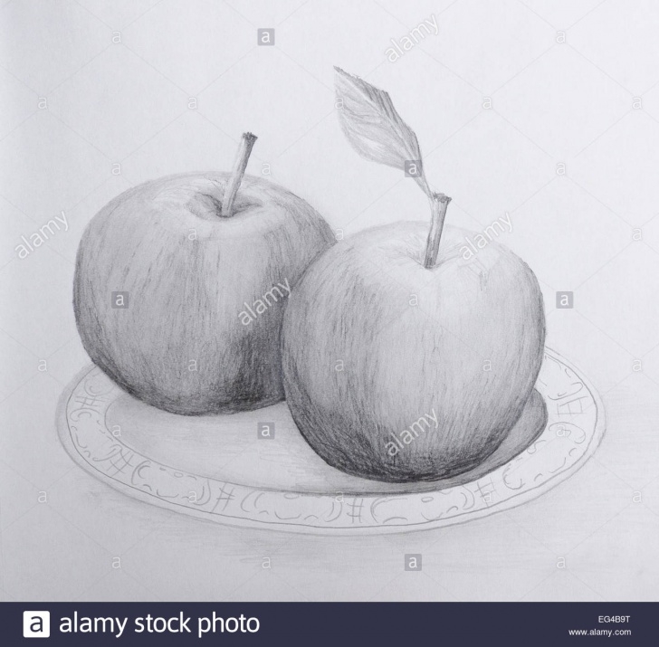 Incredible Pencil Drawing Of Apple Courses Pencil Drawing Of Two Apples On A Plate - Grayscale On Cartridge Images