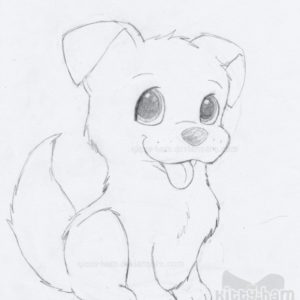 Pencil Drawings Of Puppies