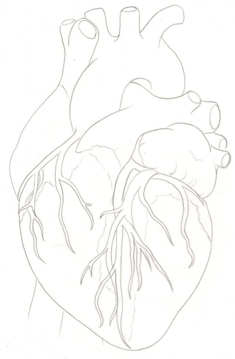 Incredible Pencil Sketch Of Human Heart Ideas Human Heart Tattoo By ~Metacharis On Deviantart | Always A Parents Photo