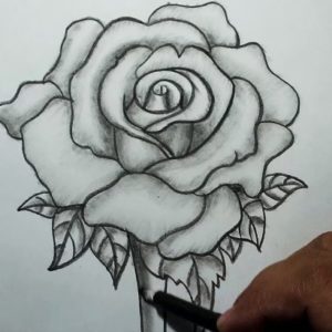 Rose Pencil Shading