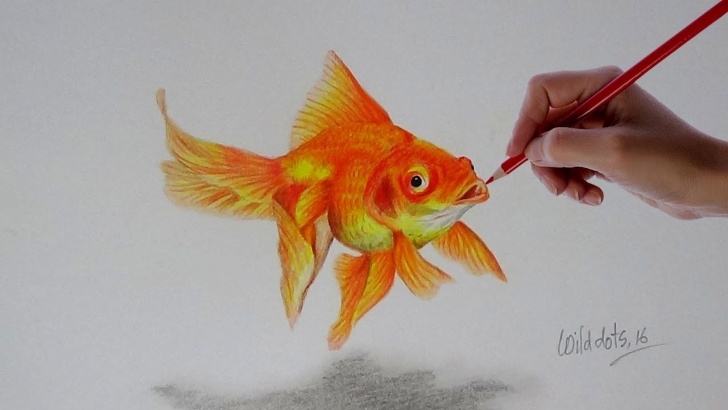 Incredible Simple Colored Pencil Drawings Tutorials Gold Fish - A Realistic Drawing With Simple Colored Pencils | Images