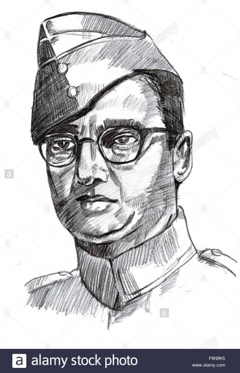 Incredible Subhash Chandra Bose Pencil Drawing Lessons Netaji Subhash Chandra Bose Sketch Stock Photos & Netaji Subhash Photo